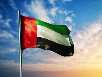 الإمارات تتضامن مع إندونيسيا بعد زلزال مدمر الإمارات تتضامن مع إندونيسيا بعد زلزال مدمر