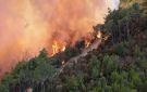 الجزائر.. مصرع 12 شخصا جراء حرائق غابات بعدة ولايات - ye