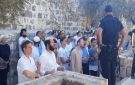 141 مستوطنا يقتحمون باحات المسجد الأقصى