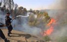 الجزائر تسجل 73 وفاة جراء حرائق الغابات ودفن جماعي لـ39 ضحية في ولاية جيجل - ye