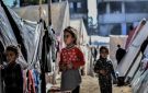 خاص سبأ .. أكثر من 66 ألف يتيم في غزة: الفقد وصدمة الحرب يضاعفان معاناة الأطفال - ye