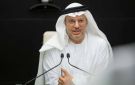 أنور قرقاش: سياسة استهداف دول الخليج والأردن أثبتت فشلها