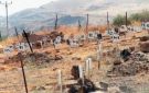دعوات فلسطينية لأوسع مشاركة في فعاليات اليوم الوطني لاسترداد جثامين الشهداء