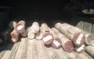 الجيش اللبناني يضبط صواريخ غراد مهربة من سوريا