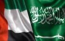 الإمارات خرجت من المستنقع اليمني... والسعودية بقيت في عمقه - ye