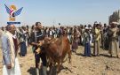 صلح قبلي ينهي قضية قتل بمديرية عيال سريح بعمران