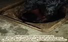حملة صيانة وتصفية موسعة لشبكة الصرف الصحي في مديرية التواهي