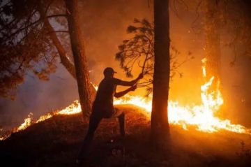 إجلاء نحو 500 شخص جراء حريق في جزيرة كرواتية إجلاء نحو 500 شخص جراء حريق في جزيرة كرواتية