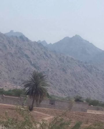 مذيع تهامي بقناة إصلاحية يكشف تطورات حيس مذيع تهامي بقناة إصلاحية يكشف تطورات حيس