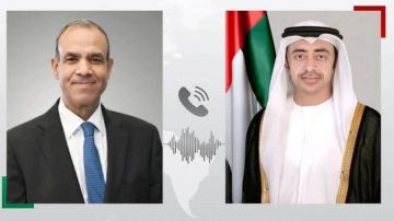 الإمارات ومصر تبحثان تطورات الأوضاع الإقليمية الإمارات ومصر تبحثان تطورات الأوضاع الإقليمية