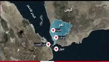 مخاوف من تحول مربع الموت في اليمن إلى فيتنام الجنوب مخاوف من تحول مربع الموت في اليمن إلى فيتنام الجنوب