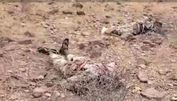 إعلاميون وناشطون يطلقون حملة قربت_نهايتك_ياحوثي تأكيدا على قرب طي صفحة المشروع الحوثي