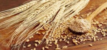 لاتفيا تعتزم فرض رسوم جمركية 300 على الحبوب الروسية لاتفيا تعتزم فرض رسوم جمركية 300 على الحبوب الروسية