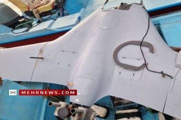 الجيش الإيراني يعلن إسقاط مسيرة استطلاعية فوق مضيق هرمز الجيش الإيراني يعلن إسقاط مسيرة استطلاعية فوق مضيق هرمز