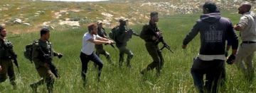 مستوطنون ينفذون اعتداءات على الفلسطينيين وممتلكاتهم في الضفة مستوطنون ينفذون اعتداءات على الفلسطينيين وممتلكاتهم في الضفة