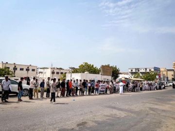 منسقية الانتقالي بجامعة حضرموت تنظم وقفة احتجاجية بمجمع الكليات منسقية الانتقالي بجامعة حضرموت تنظم وقفة احتجاجية بمجمع الكليات