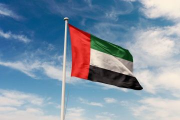 الإمارات تعزي زيمبابوي في ضحايا حادث تصادم الإمارات تعزي زيمبابوي في ضحايا حادث تصادم