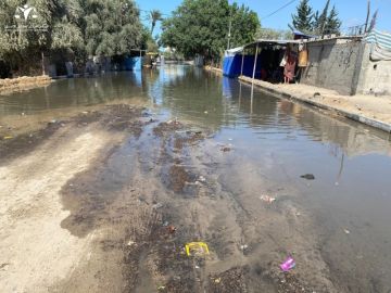 مركز الميزان يحذر من كارثة صحية وبيئية جراء انهيار البنية التحتية في غزة مركز الميزان يحذر من كارثة صحية وبيئية جراء انهيار البنية التحتية في غزة