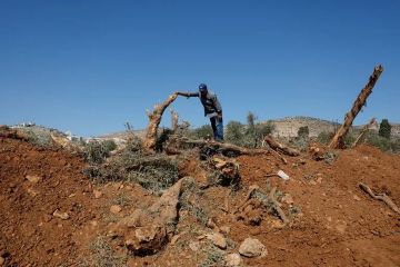 العدو الإسرائيلي يواصل تجريف أراضي دير بلوط غرب سلفيت ويجري تحقيقا ميدانيا في اليامون غرب جنين العدو الإسرائيلي يواصل تجريف أراضي دير بلوط غرب سلفيت ويجري تحقيقا ميدانيا في اليامون غرب جنين