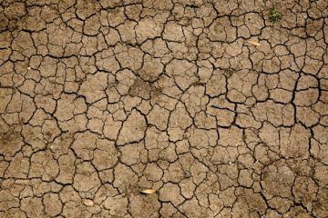 الأمم المتحدة: مخزونات المياه في العالم عام 2025 كانت أقل من المعدل بنسبة 42 بالمئة الأمم المتحدة: مخزونات المياه في العالم عام 2025 كانت أقل من المعدل بنسبة 42 بالمئة