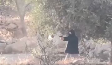مستوطنون يقتحمون برقا ويواصلون توسيع بؤرة شرق رام الله مستوطنون يقتحمون برقا ويواصلون توسيع بؤرة شرق رام الله