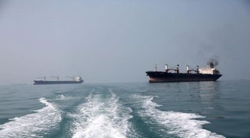 مصر ترفض مقترحا حوثيا للتنسيق بشأن باب المندب مصر ترفض مقترحا حوثيا للتنسيق بشأن باب المندب