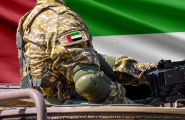 وزارة الدفاع الإماراتية: استشهاد عسكريين اثنين خلال مهمة تدريبية وزارة الدفاع الإماراتية: استشهاد عسكريين اثنين خلال مهمة تدريبية