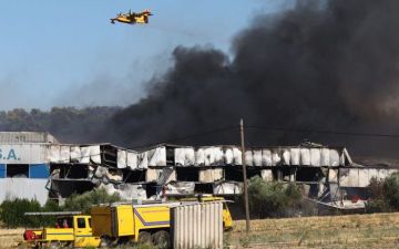 اليونان تعلن الحداد الوطني عقب مصرع طيارين في حادث جوي