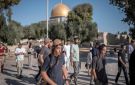 181 مستوطنا يقتحمون باحات المسجد الأقصى