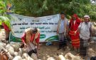 تفقد القطاع الزراعي وتنفيذ حزمة معالجات بمديريتي الخوخة وحيس بالحديدة - ye