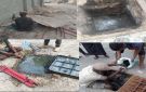 استمرار أعمال الصرف الصحي في مديرية التواهي - ye