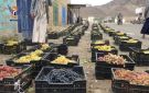 تسيير قافلة عنب من مديرية الطيال في محافظة صنعاء دعما للمرابطين في الجبهات