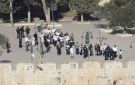 أوقاف القدس: 1222 مستوطنا اقتحموا باحات المسجد الأقصى اليوم