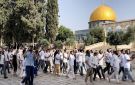القدس: استشهاد 17 فلسطينيا في المحافظة منذ بداية العام