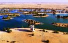 ابتكار إماراتي يوظف الذكاء الاصطناعي في الحياة البرية