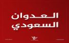 العدو السعودي يواصل قصفه المدفعي والصاروخى على المناطق الحدودية بصعدة