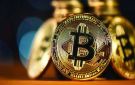تباين أداء العملات المشفرة وسط توقعات رفع الفائدة - ye