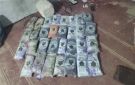 خفر سواحل حضرموت يحبط تهريب شحنة حشيش باتجاه عدن
