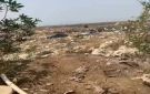 العدو الإسرائيلي يعتقل رئيس بلدية دير بلوط وثلاثة فلسطينيين خلال تواجدهم في أراضيهم - ye