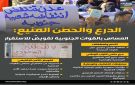 الدرع والحصن المنيع: المساس بالقوات الجنوبية تقويض للاستقرار (إنفوجراف) - ye