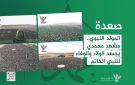 المولد النبوي بصعدة .. مشهد محمدي يجسد الولاء والوفاء للنبي الخاتم