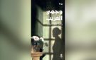 للجزائرية وئام شرماطي : وجهي الغريب .. رواية جديدة - ye