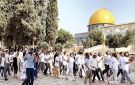علماء فلسطين: تصاعد خطر التهويد يهدد المسجد الأقصى - ye