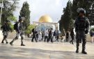 الإفتاء الفلسطيني يدين تدنيس رحاب المسجد الأقصى وعربدة المستوطنين الصهاينة